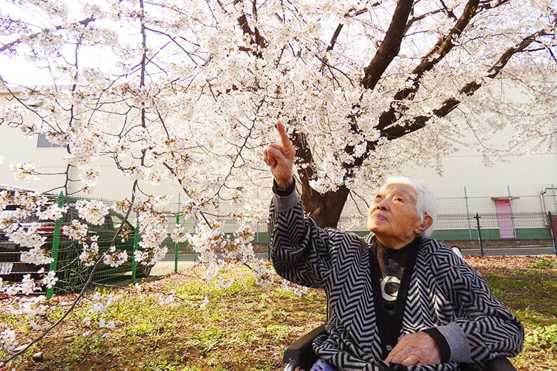 桜を指さす利用者