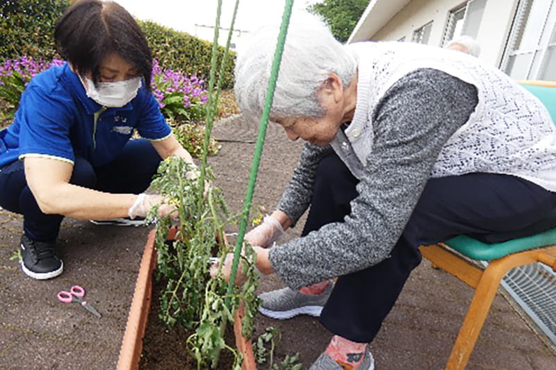 植物の手入れをする利用者と職員